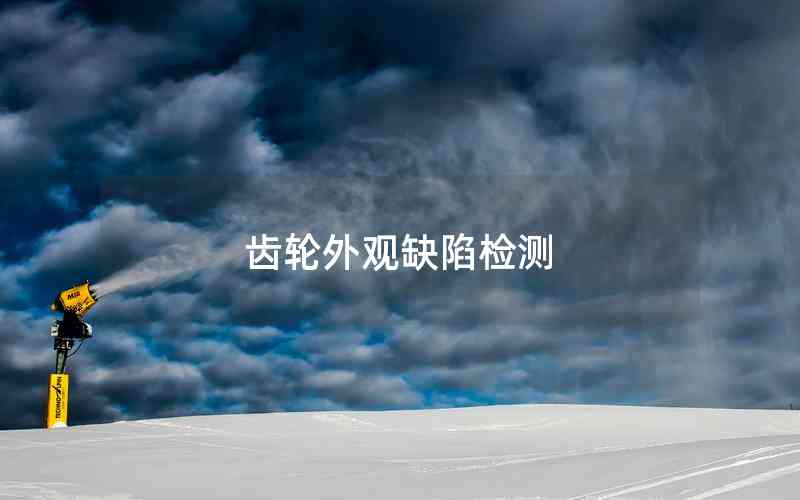 齒輪外觀缺陷檢測(cè)