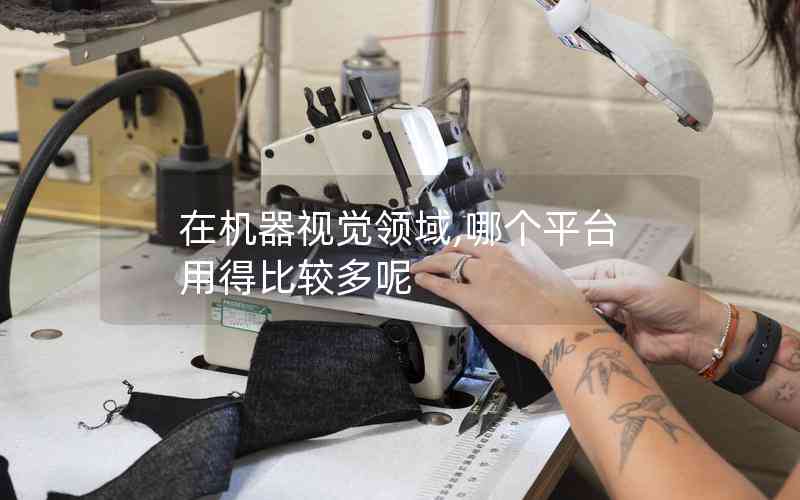 在機(jī)器視覺(jué)領(lǐng)域,哪個(gè)平臺(tái)用得比較多呢