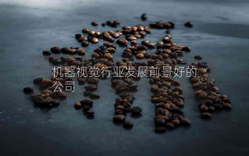 機器視覺行業(yè)發(fā)展前景好的公司