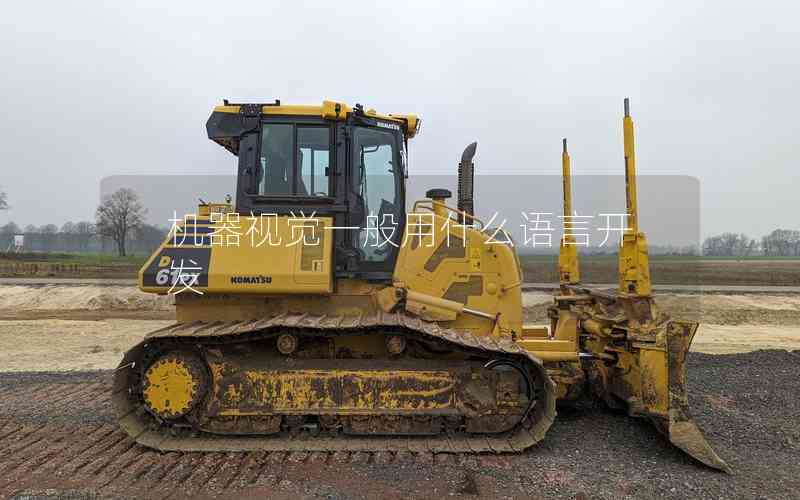 機(jī)器視覺(jué)一般用什么語(yǔ)言開(kāi)發(fā)