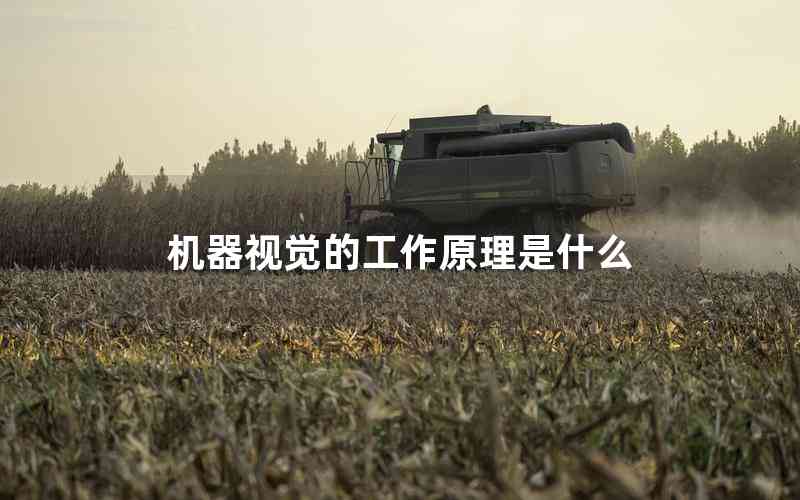 機器視覺的工作原理是什么