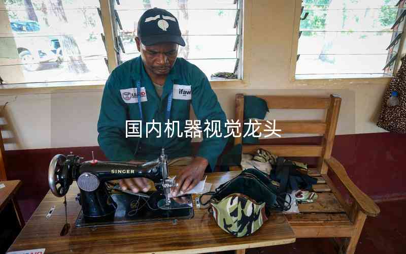 國(guó)內(nèi)機(jī)器視覺龍頭