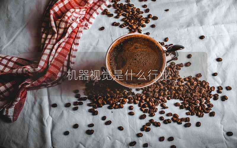 機(jī)器視覺(jué)是什么行業(yè)