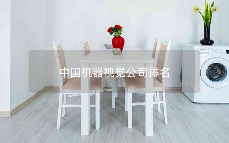 中國(guó)機(jī)器視覺公司排名