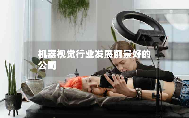 機(jī)器視覺行業(yè)發(fā)展前景好的公司