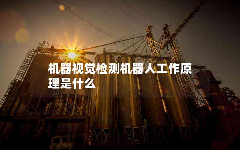 機(jī)器視覺(jué)檢測(cè)機(jī)器人工作原理是什么