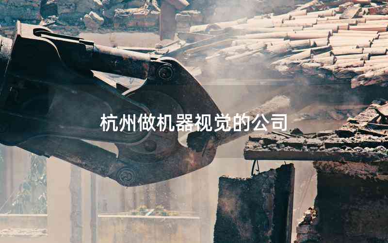 杭州做機器視覺的公司