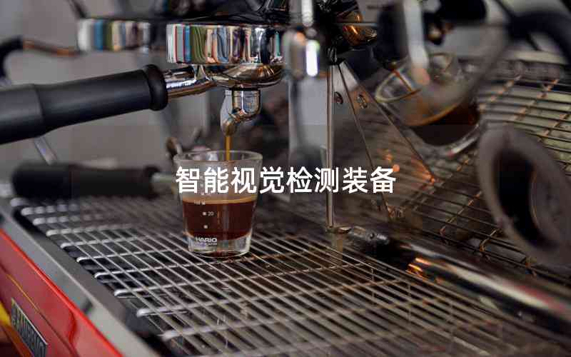 智能視覺檢測裝備