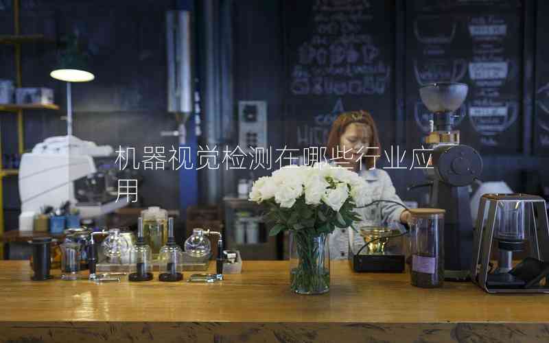 機器視覺檢測在哪些行業(yè)應用