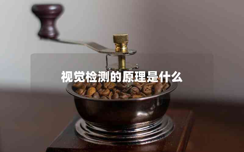視覺(jué)檢測(cè)的原理是什么