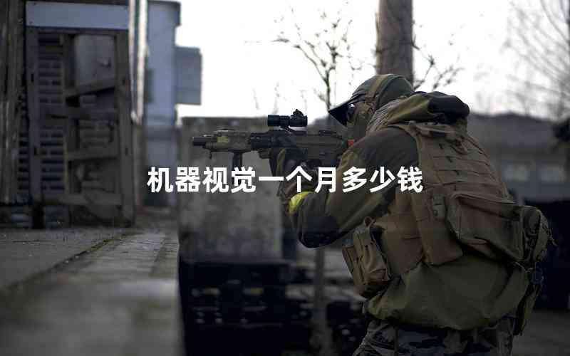 機器視覺一個月多少錢