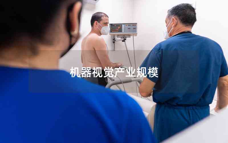 機(jī)器視覺(jué)產(chǎn)業(yè)規(guī)模