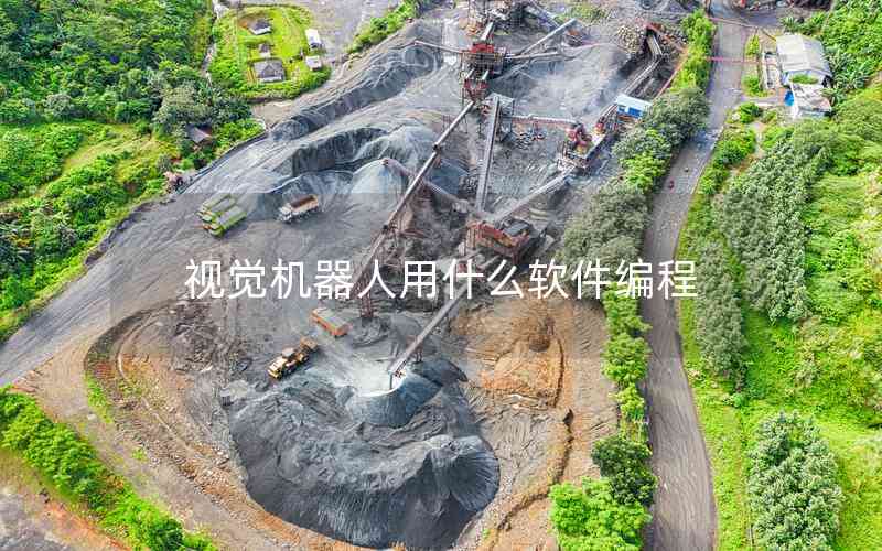 視覺機器人用什么軟件編程