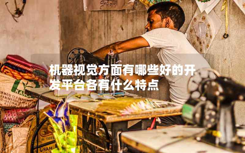 機器視覺方面有哪些好的開發(fā)平臺各有什么特點