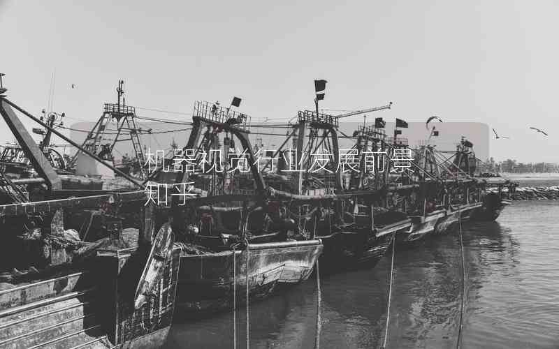 機器視覺行業(yè)發(fā)展前景 知乎