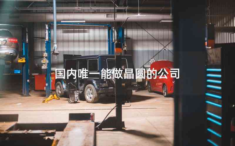 國內(nèi)唯一能做晶圓的公司