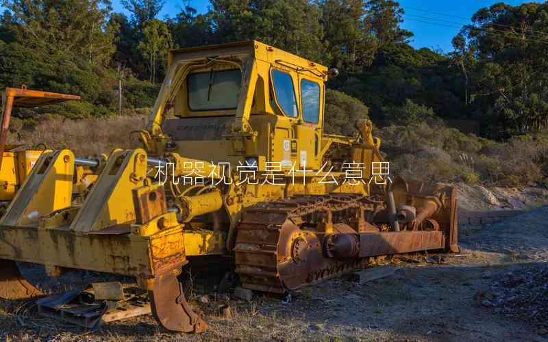 機器視覺是什么意思