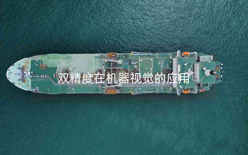 雙精度在機(jī)器視覺的應(yīng)用