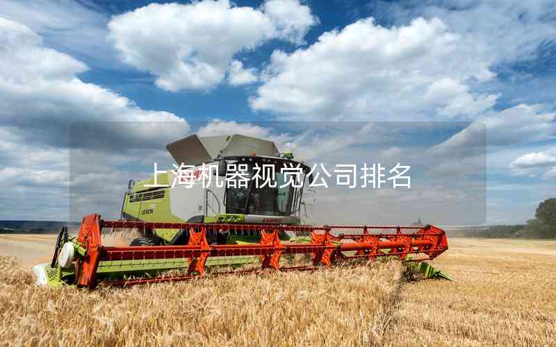 上海機器視覺公司排名