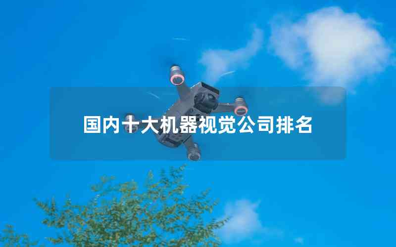國(guó)內(nèi)十大機(jī)器視覺公司排名