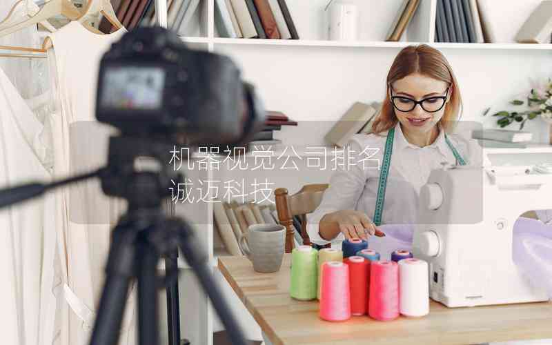 機(jī)器視覺公司排名 誠邁科技