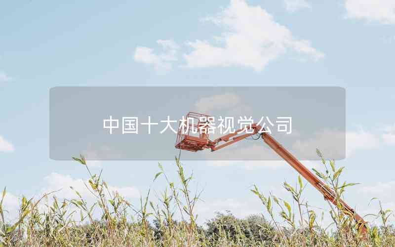 中國十大機器視覺公司