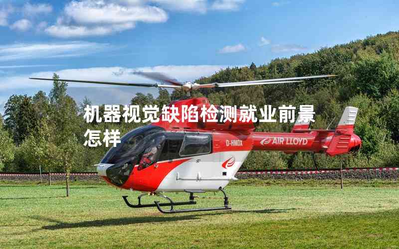 機(jī)器視覺(jué)缺陷檢測(cè)就業(yè)前景怎樣