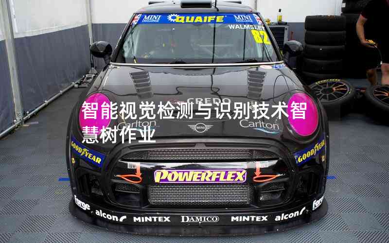 智能視覺檢測與識別技術智慧樹作業(yè)