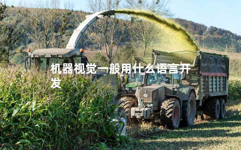 機(jī)器視覺一般用什么語言開發(fā)