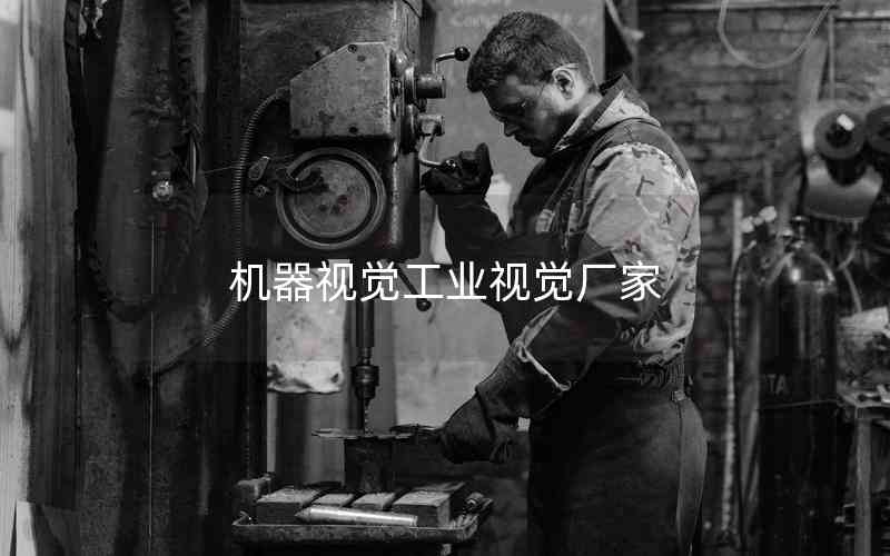 機(jī)器視覺工業(yè)視覺廠家