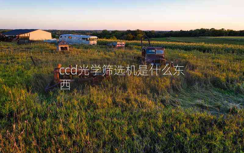 ccd光學(xué)篩選機是什么東西