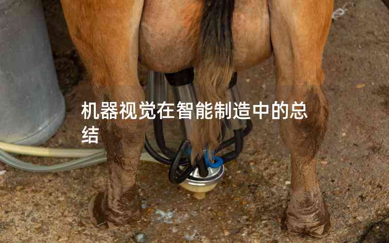 機(jī)器視覺在智能制造中的總結(jié)