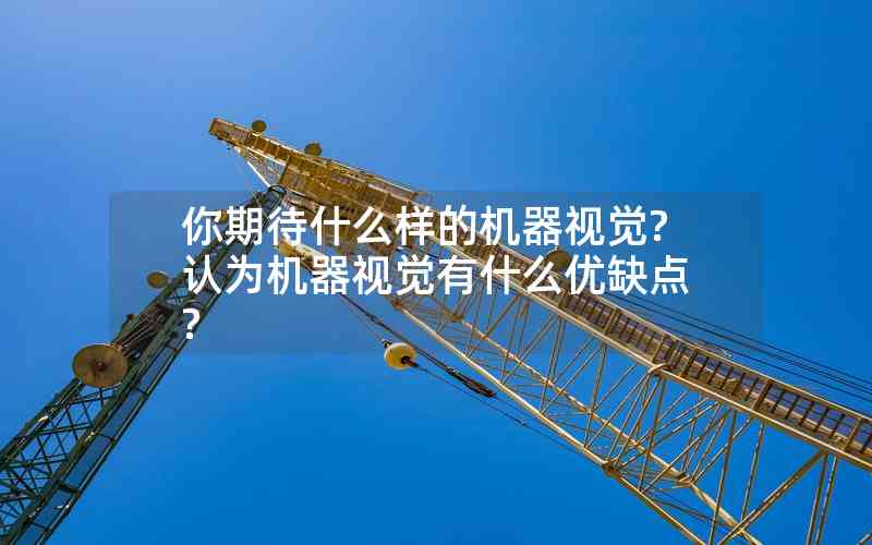 你期待什么樣的機器視覺?認為機器視覺有什么優(yōu)缺點?