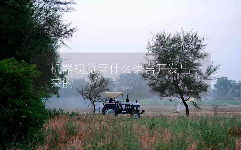 機(jī)器視覺(jué)用什么語(yǔ)言開發(fā)出來(lái)的