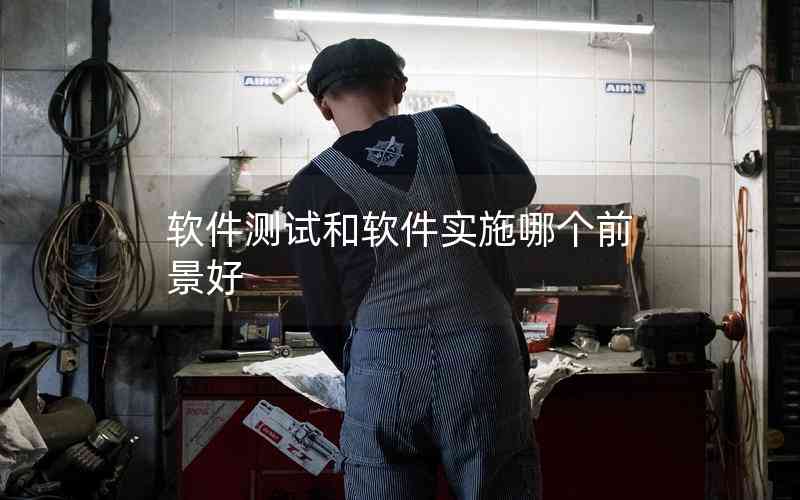 軟件測(cè)試和軟件實(shí)施哪個(gè)前景好