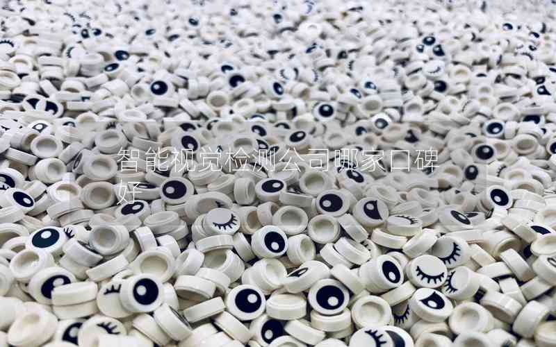 智能視覺(jué)檢測(cè)公司哪家口碑好