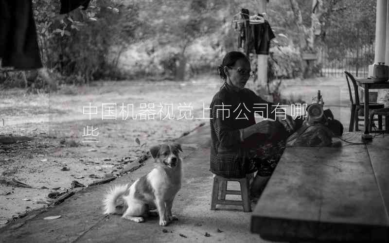 中國機器視覺上市公司有哪些