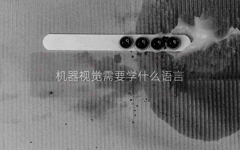 機(jī)器視覺需要學(xué)什么語(yǔ)言