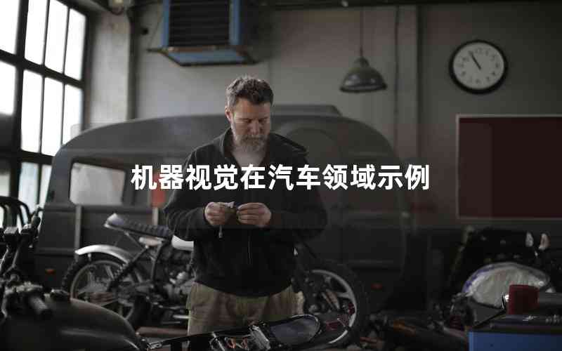 機(jī)器視覺在汽車領(lǐng)域示例