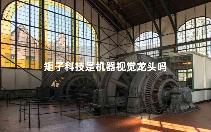 矩子科技是機器視覺龍頭嗎