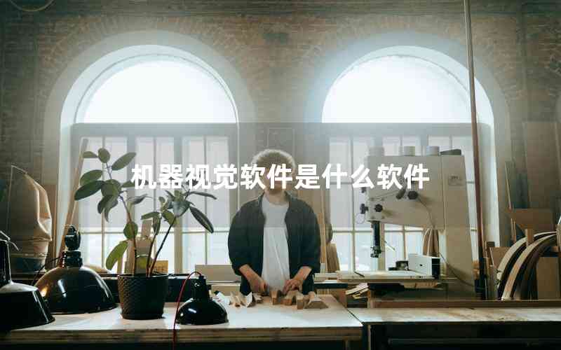 機器視覺軟件是什么軟件