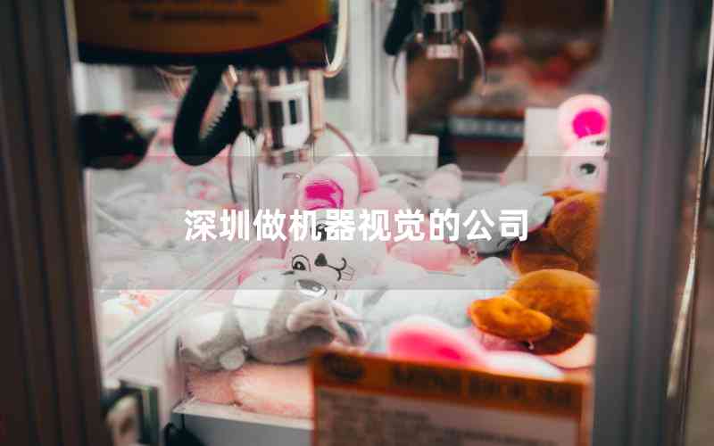 深圳做機(jī)器視覺(jué)的公司