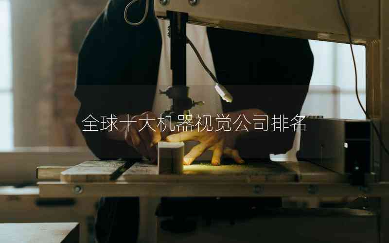 全球十大機(jī)器視覺(jué)公司排名