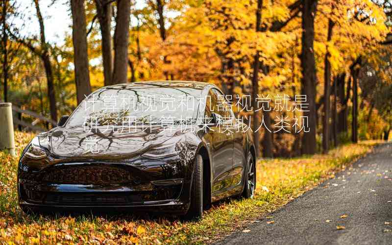 計算機視覺和機器視覺就是研究用計算機來模擬人類視覺