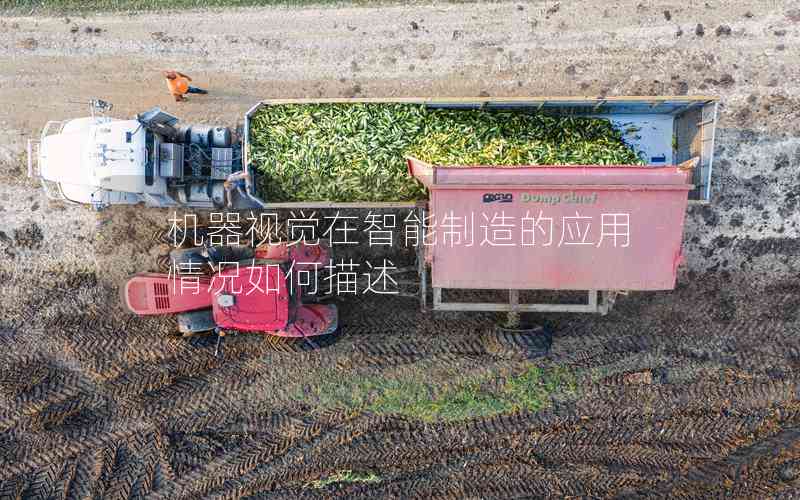 機器視覺在智能制造的應用情況如何描述