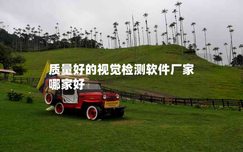 質(zhì)量好的視覺檢測(cè)軟件廠家哪家好