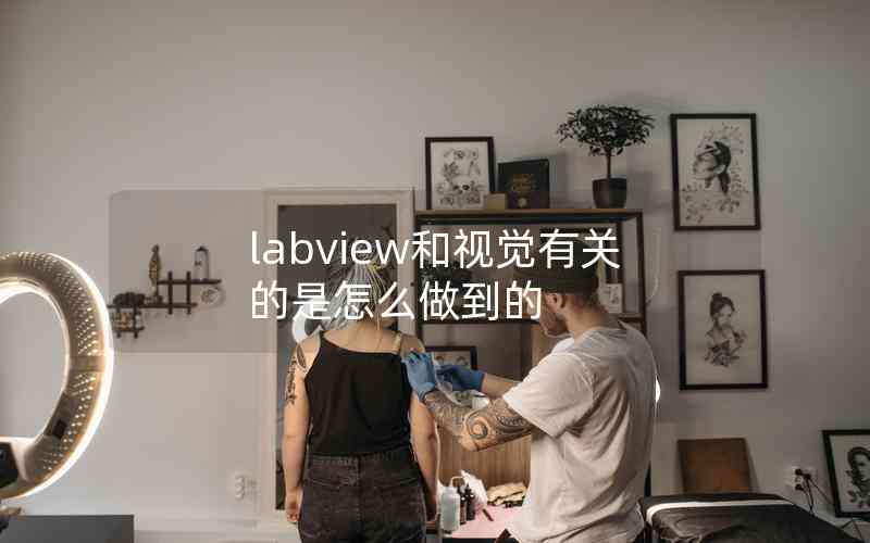 labview和視覺(jué)有關(guān)的是怎么做到的