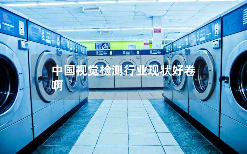中國視覺檢測行業(yè)現(xiàn)狀好卷啊