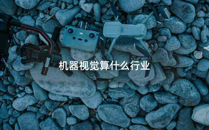 機器視覺算什么行業(yè)