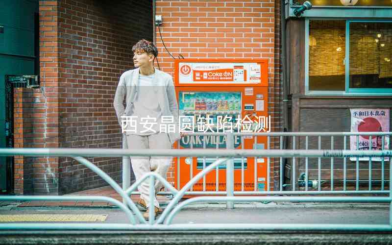 西安晶圓缺陷檢測